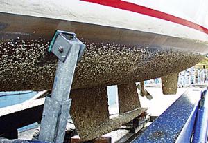 Antifouling op onderwaterschip